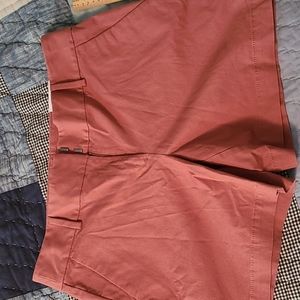 NWT LOFT Riviera Short Size 8